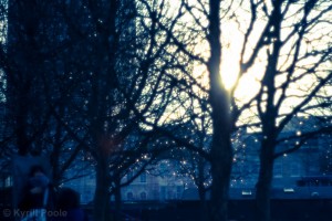 IMG_9192