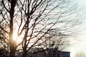 IMG_9197