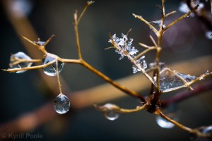IMG_9553