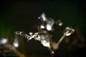 IMG_9556