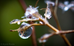 IMG_9559