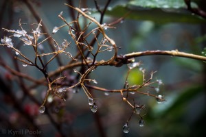 IMG_9563