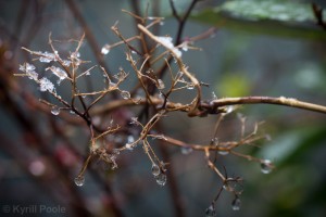 IMG_9570