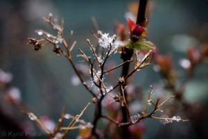 IMG_9573