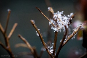 IMG_9579