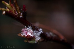 IMG_9583