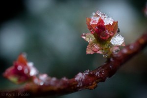 IMG_9584