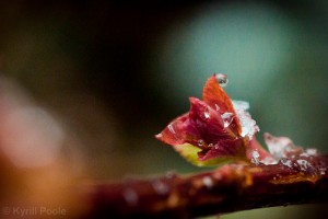 IMG_9586