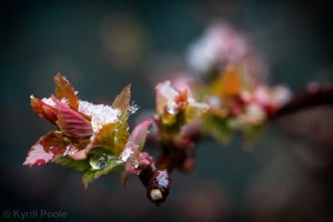 IMG_9590