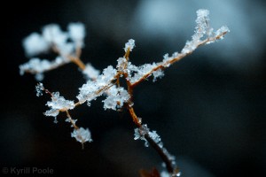 IMG_9636