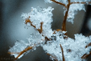 IMG_9648