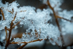 IMG_9650