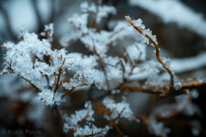 IMG_9651