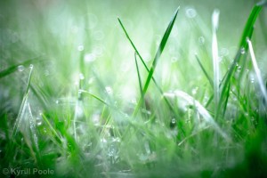 IMG_7122