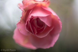 IMG_7124