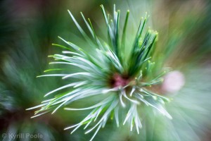 IMG_7138