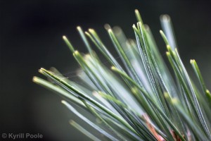 IMG_7144