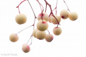 IMG_7175